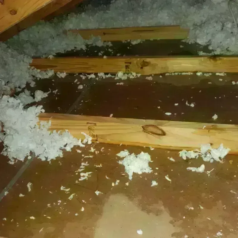 Attic Water Damage in Gulfport, FL